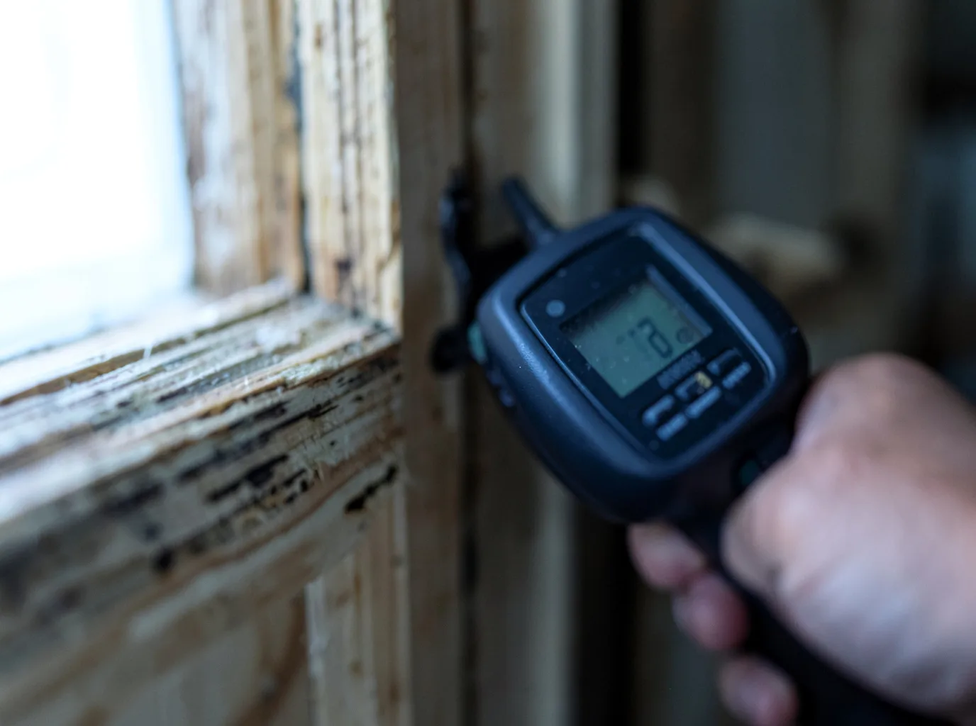 Water Damage Restoration Tampa, FL FAQs